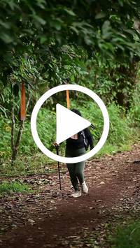 BIB:  <button type="button" onclick="openModal(27283584)" class="btn btn-primary btn-sm float-right" data-toggle="modal" data-target=".modal-high-quality">
                <i class="fa fa-download"></i> Download
                </button>